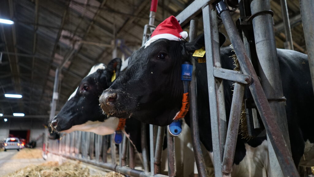 Verlichte boerderijenroute 2024 - door Vallei Boert Bewust